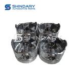 Jeu de pistons — ADAPTABLE 1004028B0000