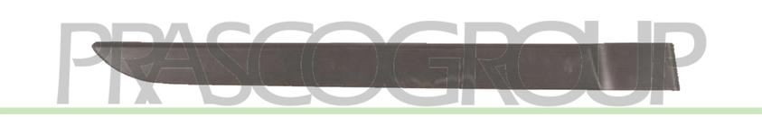 Baguette et bande protectrice, porte — ADAPTABLE 7701477639